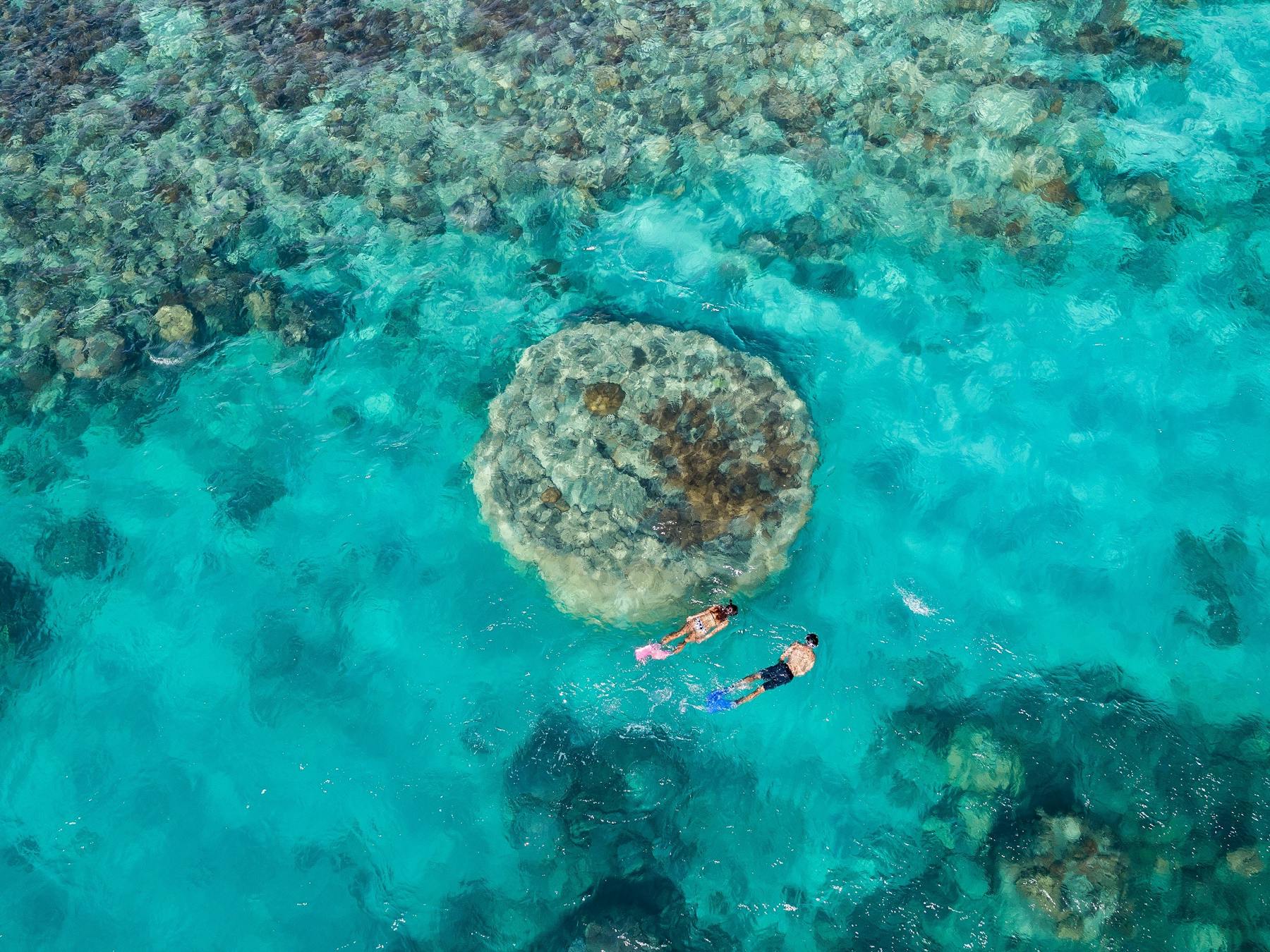 2 snorkellers exploring the reef and turquoise waters of Butterfly bay