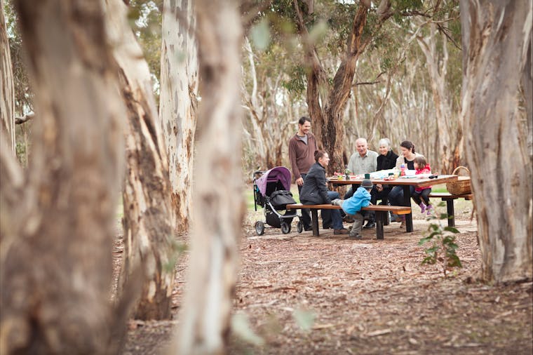 Para Wirra Conservation Park
