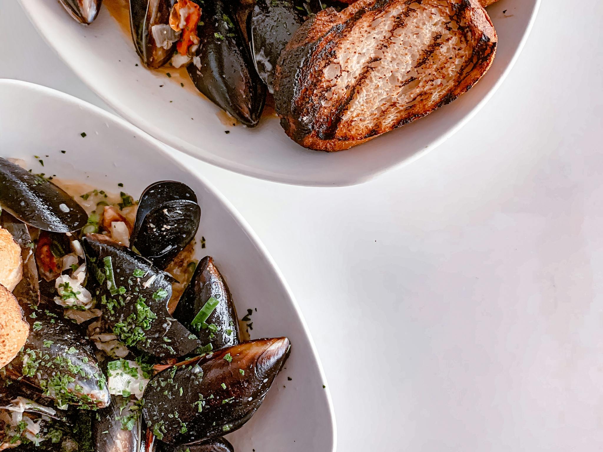 Springbay Mussels