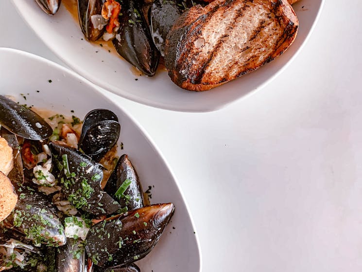 Springbay Mussels