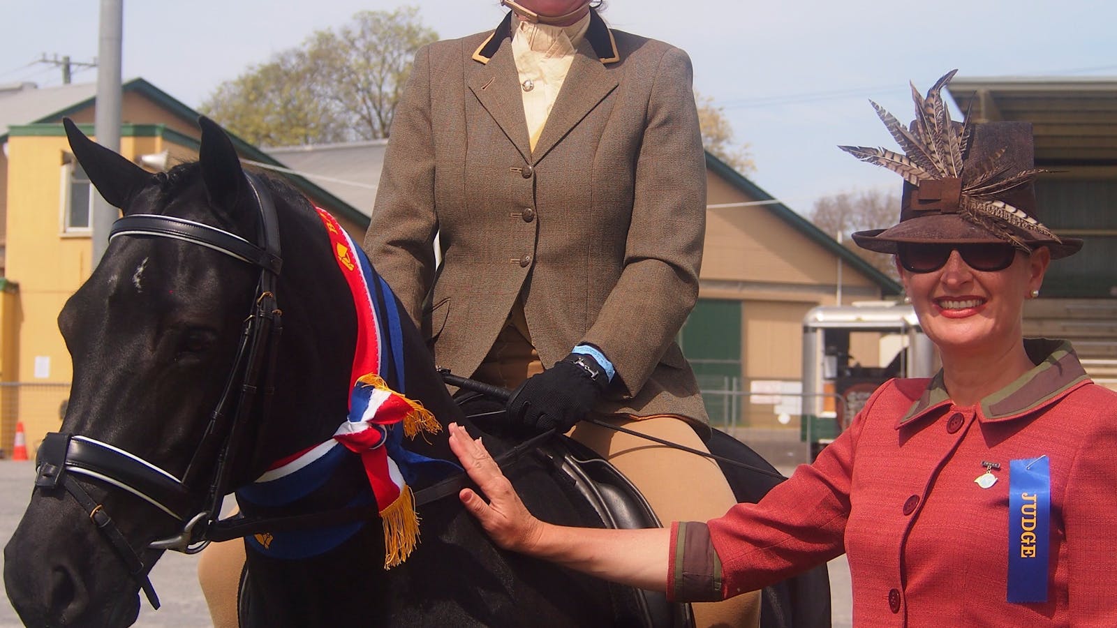 Image for Bathurst AH and P Spring Horse Show
