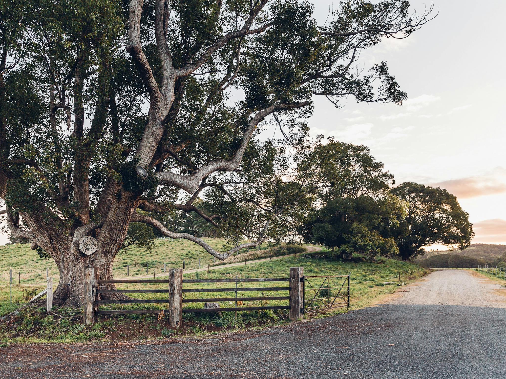 Entry to the farm & restaurant
