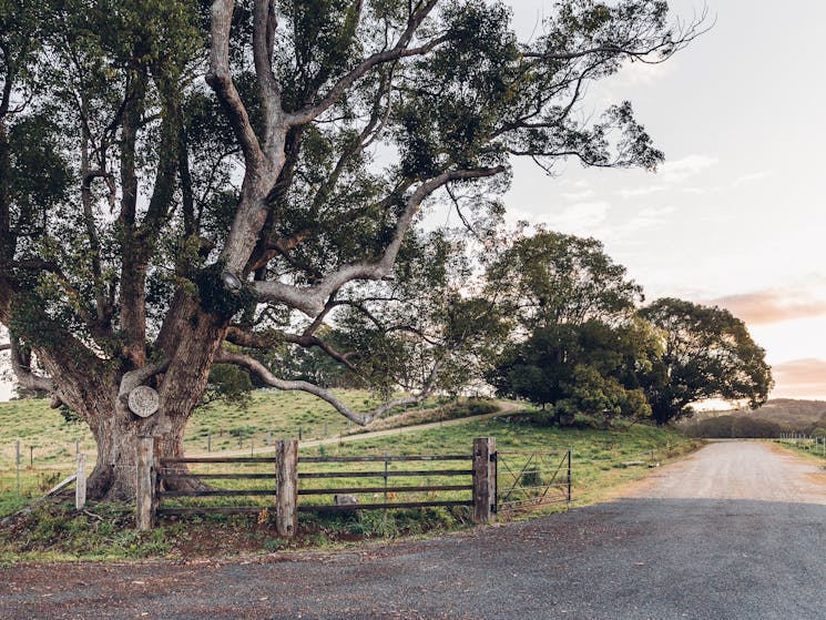 Entry to the farm & restaurant