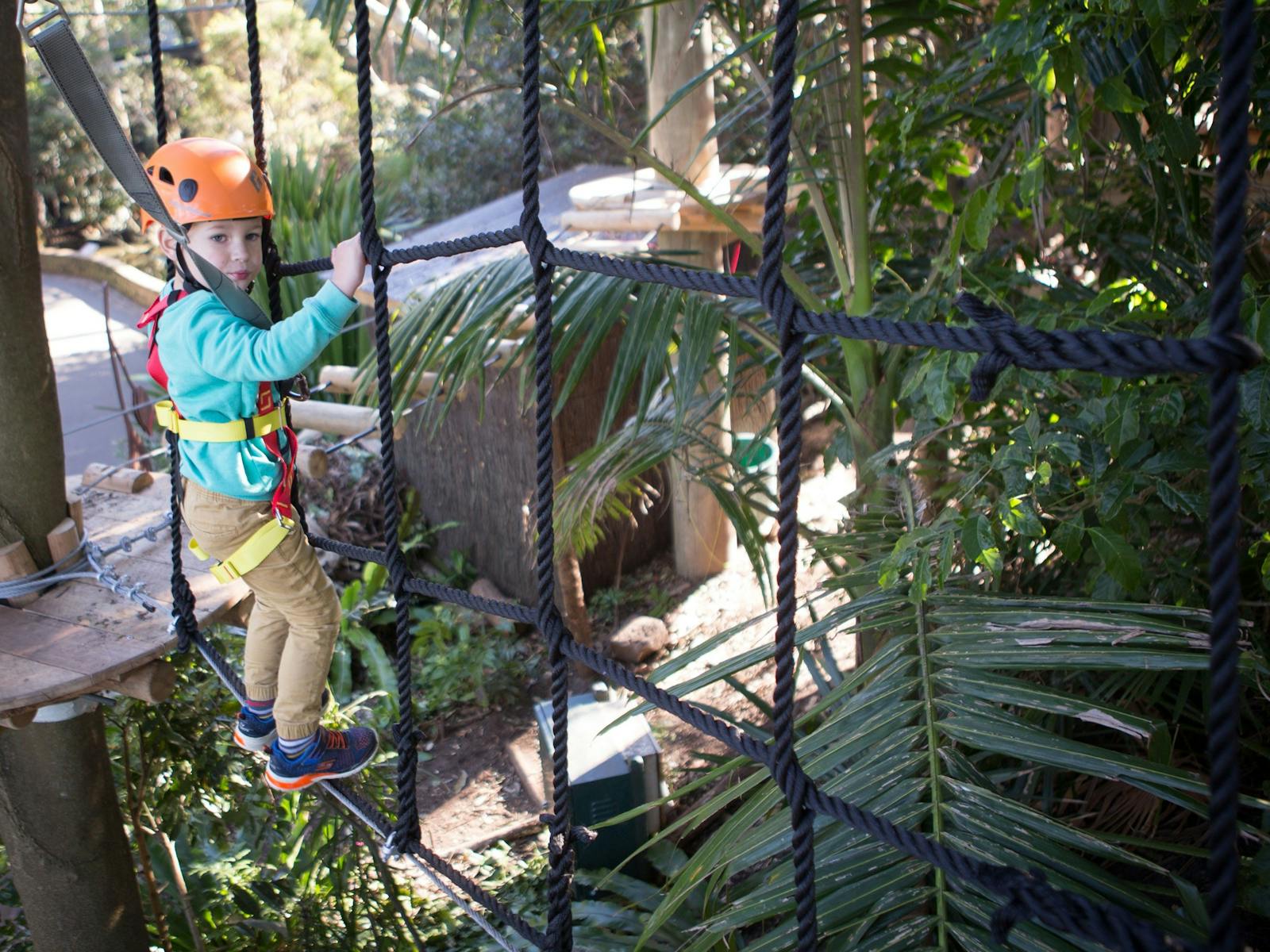 Wild Ropes at Taronga Zoo Sydney | Sydney, Australia - Official Travel ...