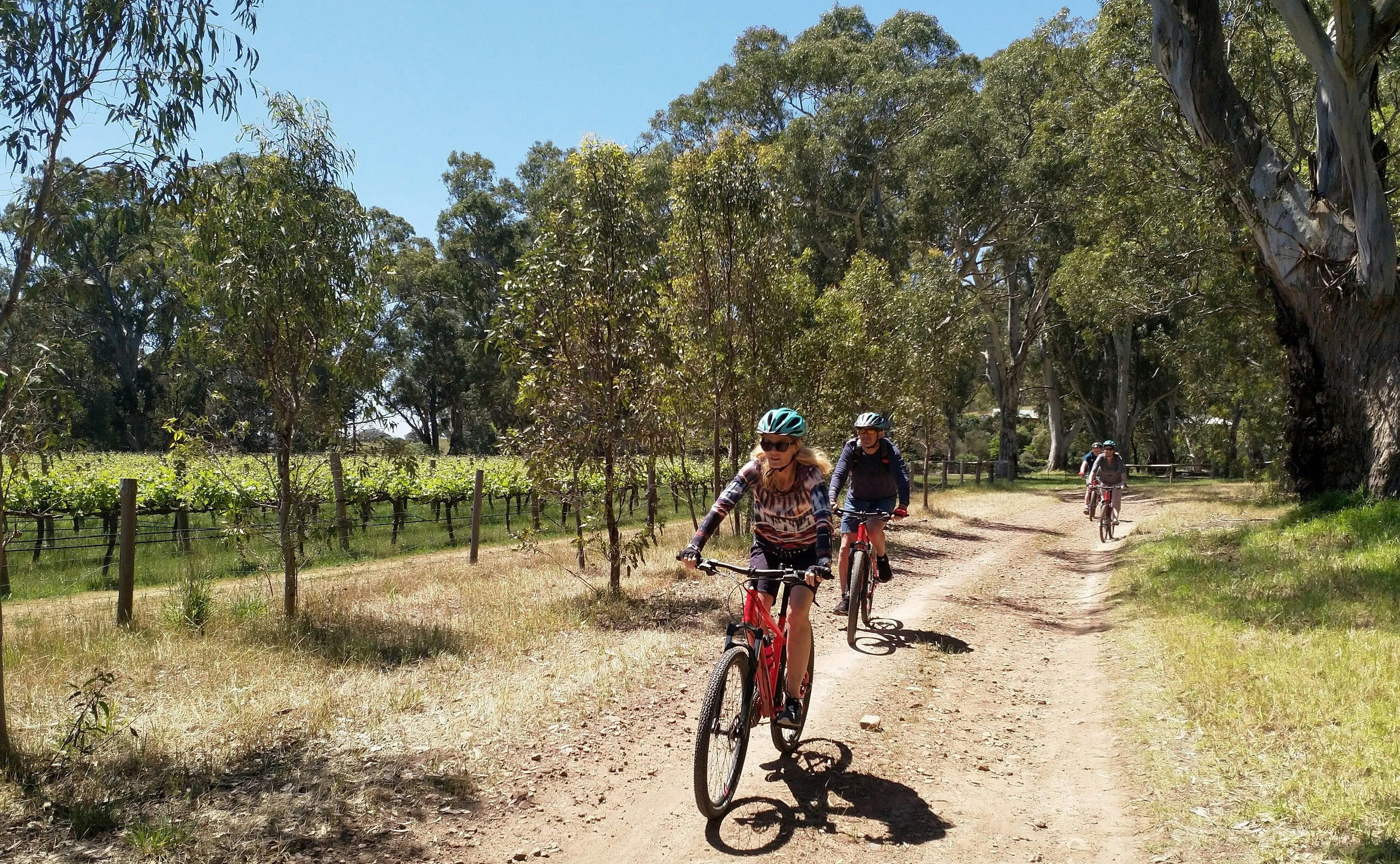 Escapegoat have special trails and shortcuts to keep off the roads!