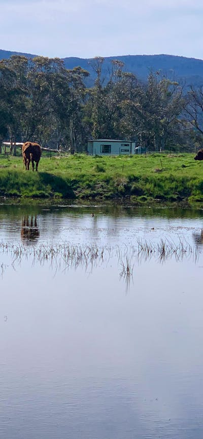 Mayfield farm stay cabins
