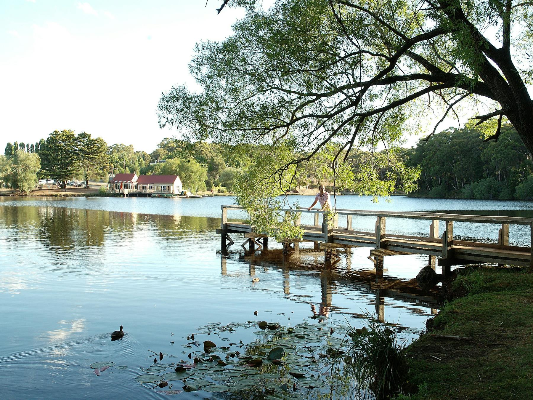 Jetty on Lake Daylesford looking towards the Boathouse