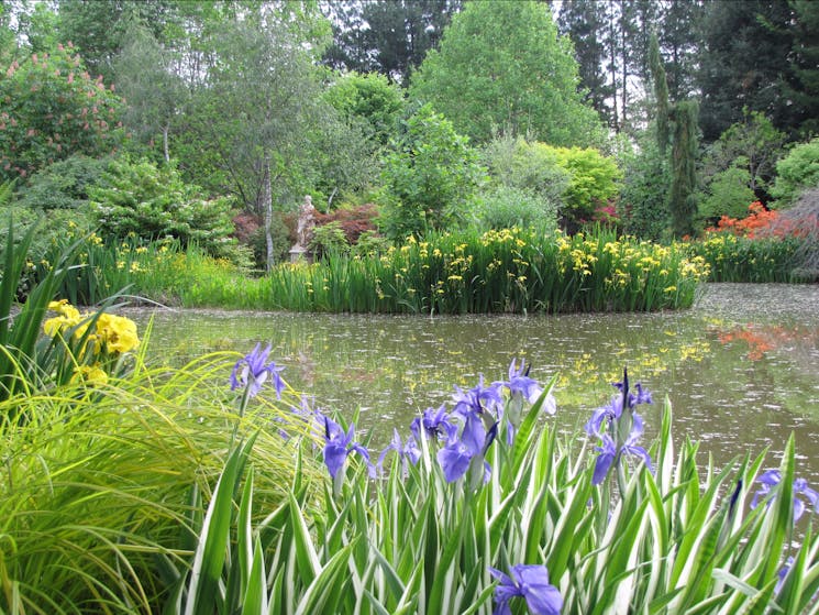 Red Cow Farm Garden