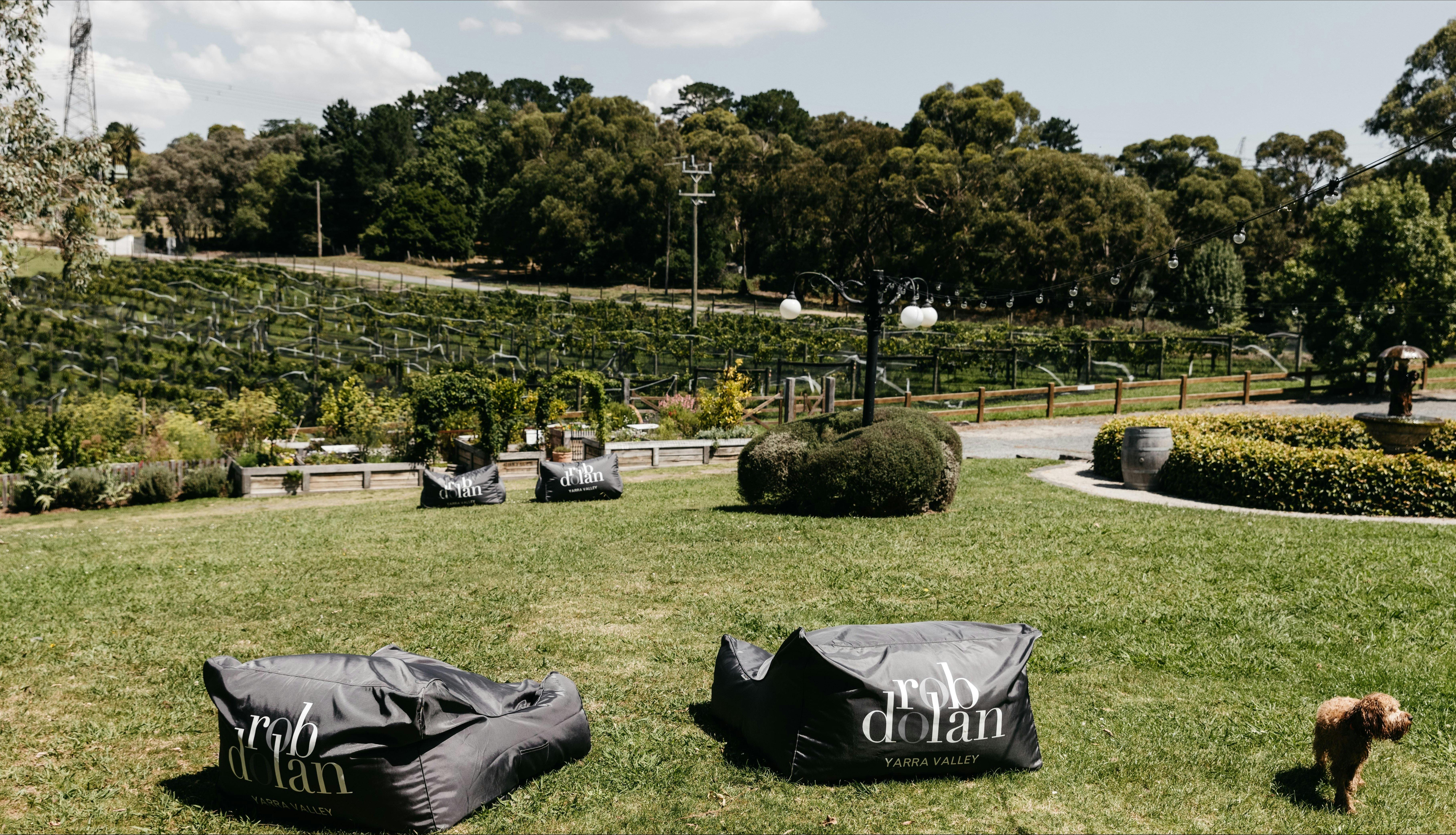 Come and grab a beanbag from our Cellar Door!