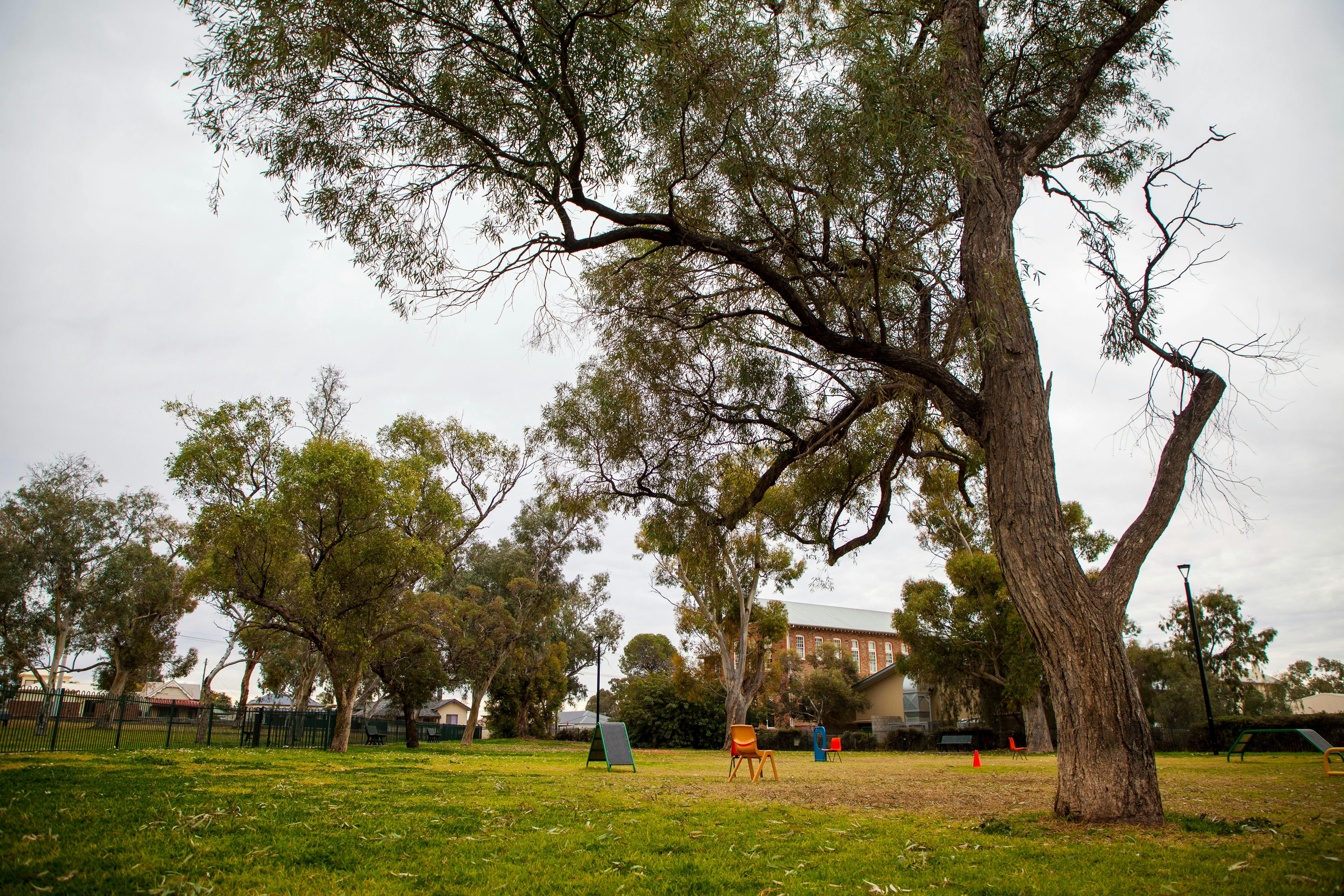 Queen Elizabeth Park (Dog Park)