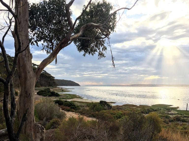 American River • Kangaroo Island, South Australia