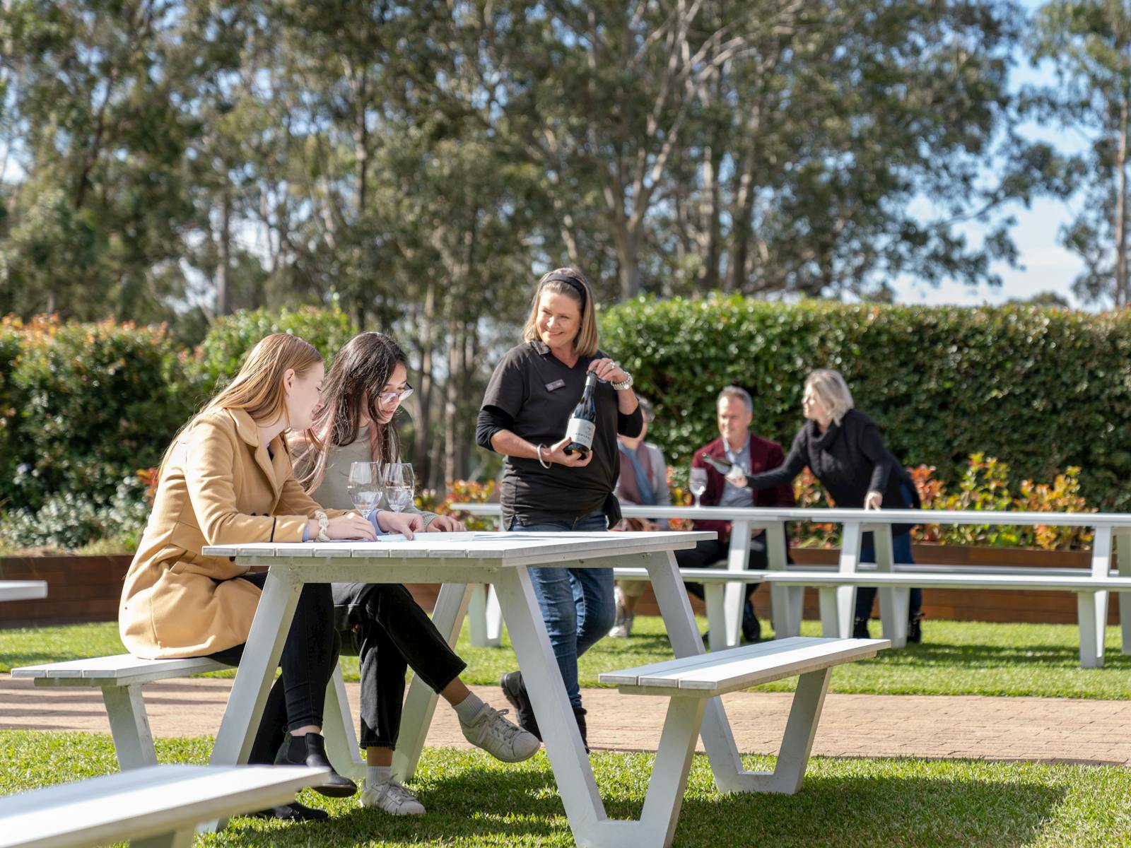 Hunter valley wine tasting from Sydney