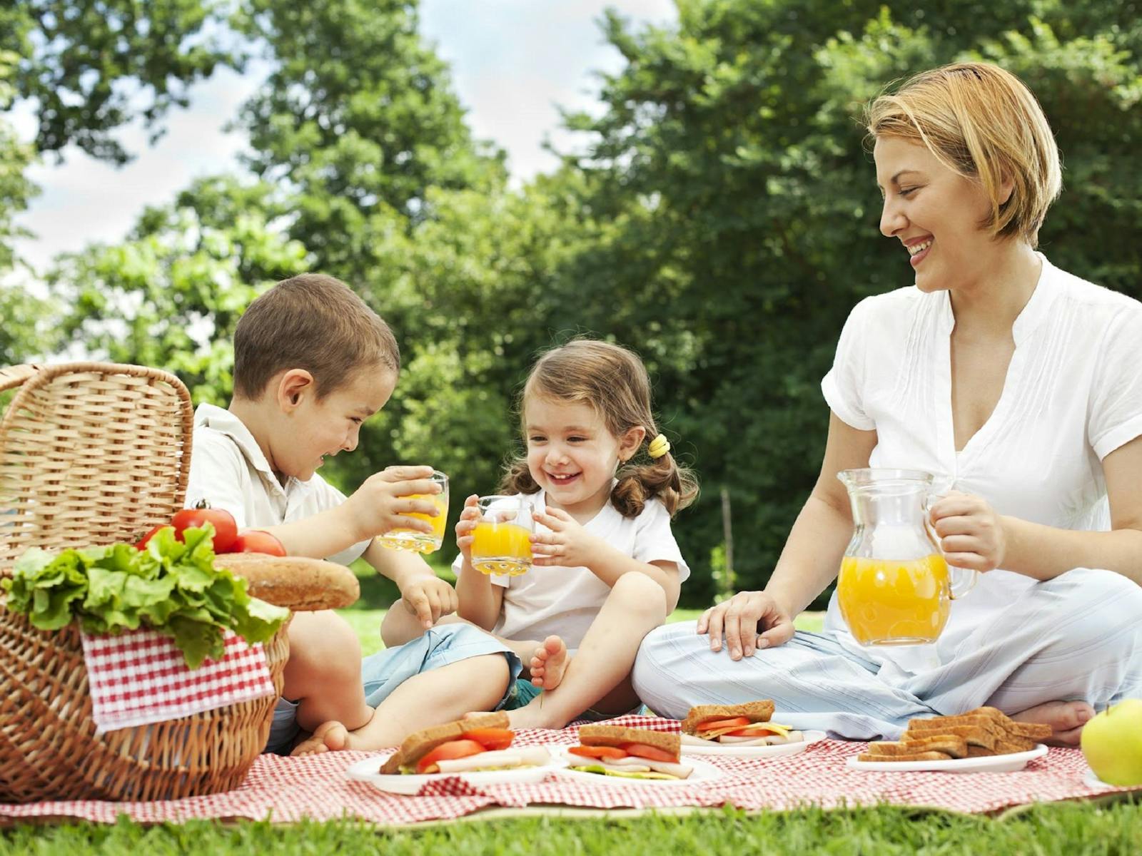 Пикник. Пикник на природе. Семья на пикнике. Пикник с семьей на природе.