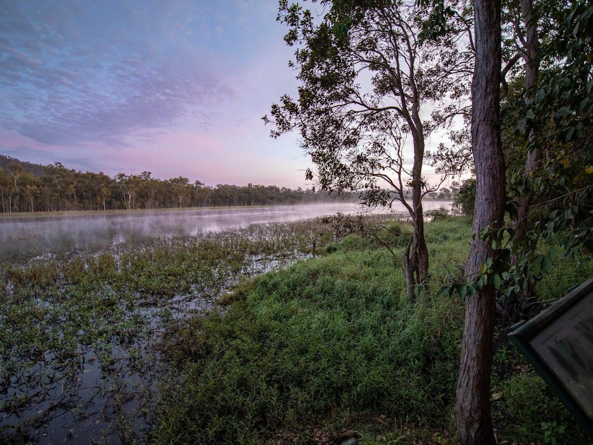 Birdwatching Hasties Swamp Birdwatching Hasties Swamp
