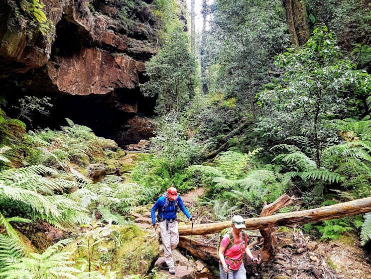Great Blue Mountains Traverse Three Day Pack Free Guided Walk Sydney