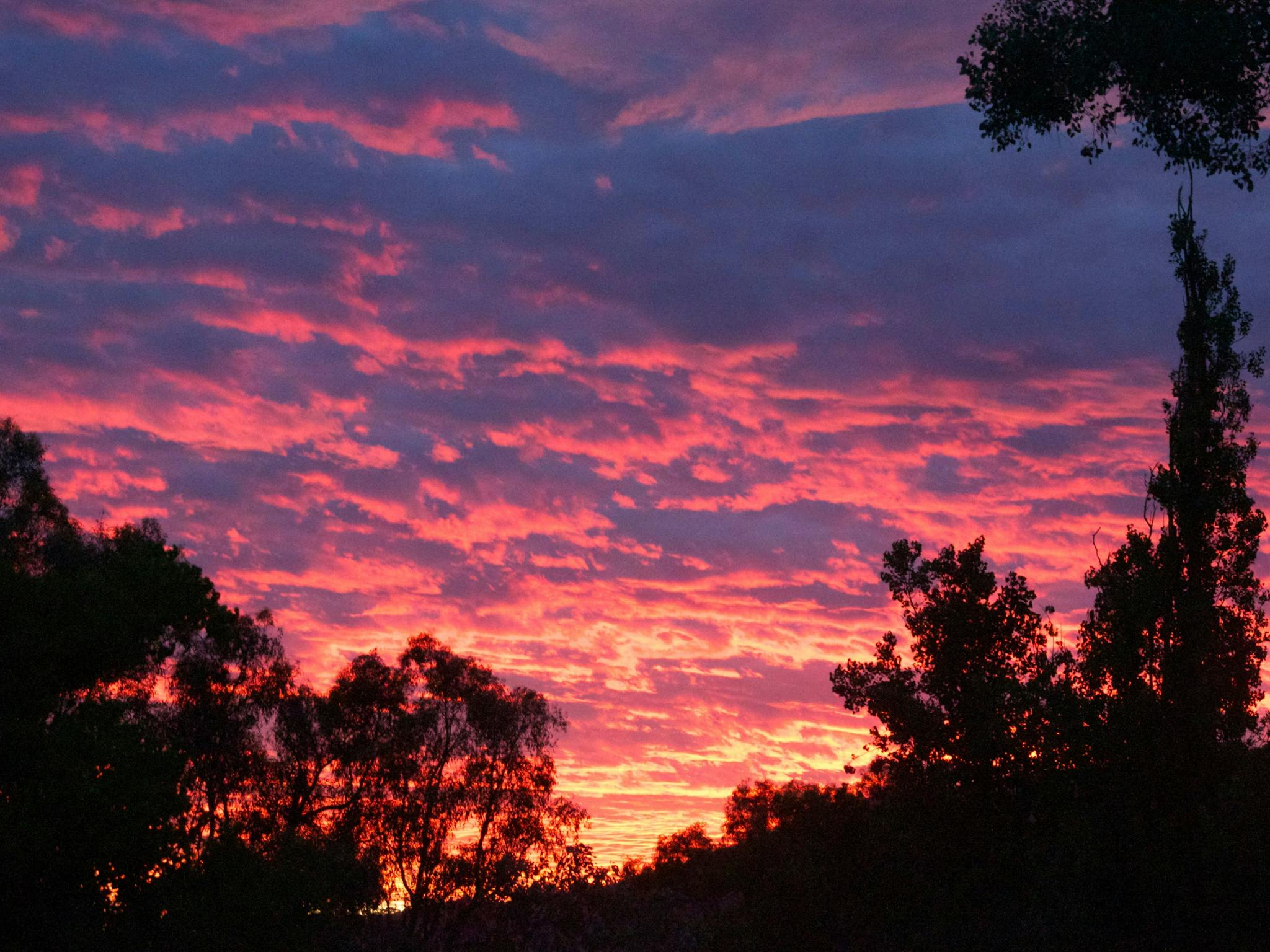 Sunset at Baranduda Homestead