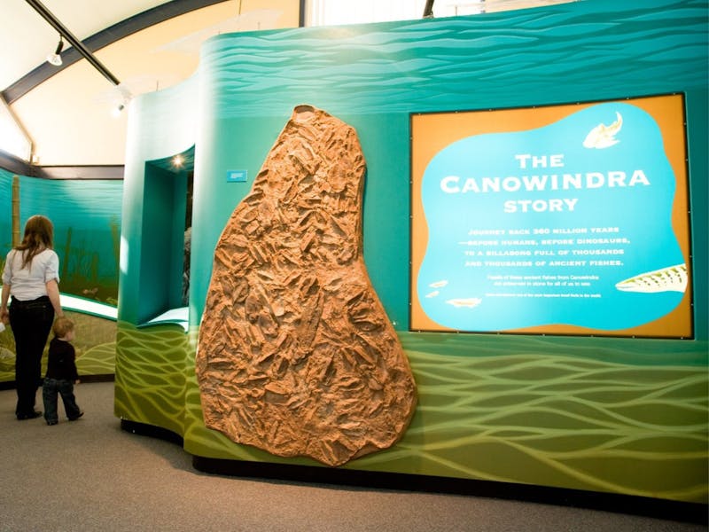 Age of Fishes Museum Canowindra