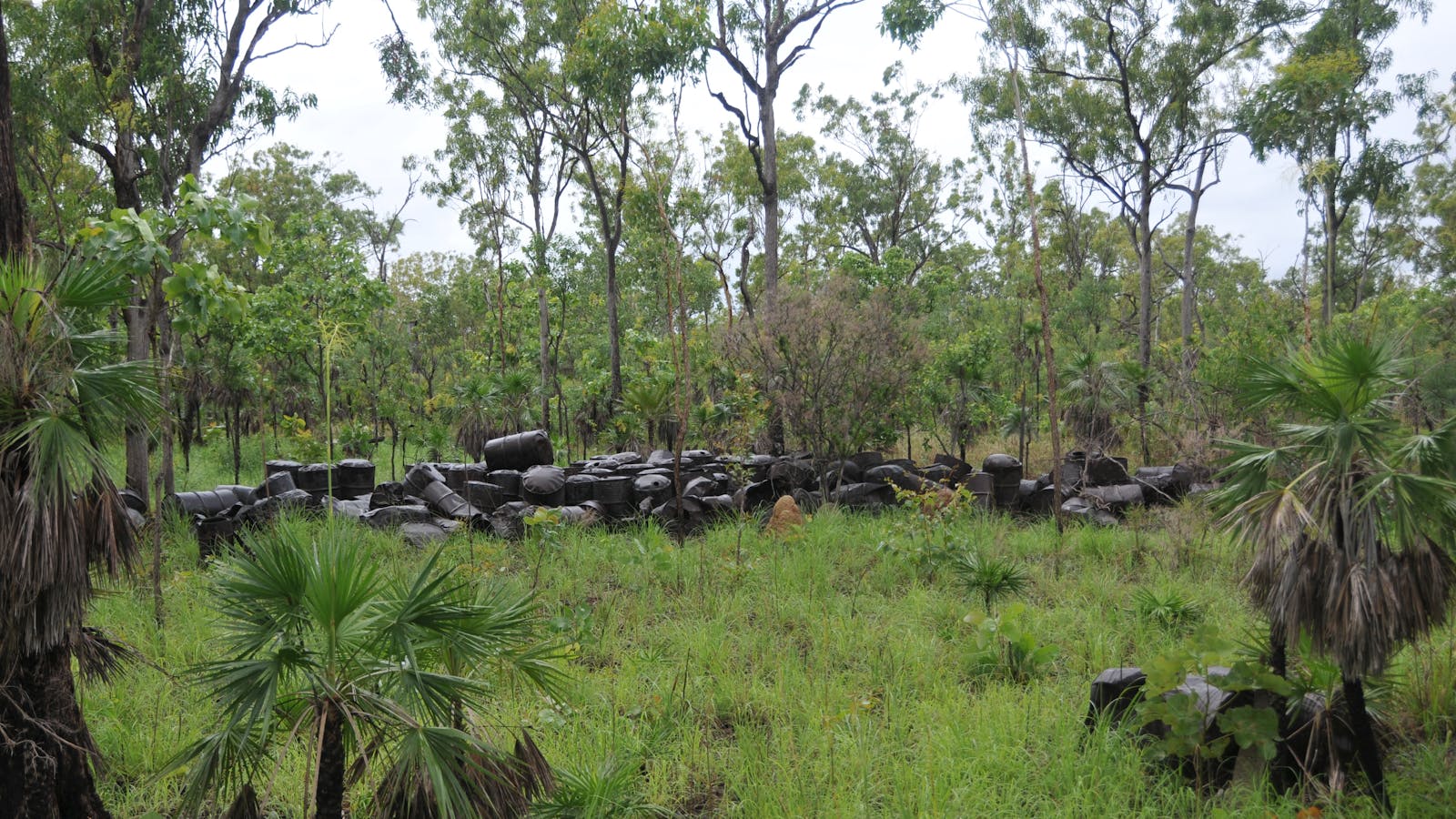 WWII Noonamah Railway Siding and Stores Depot