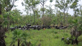 44 gallon drum dump to the west of the railway embankment