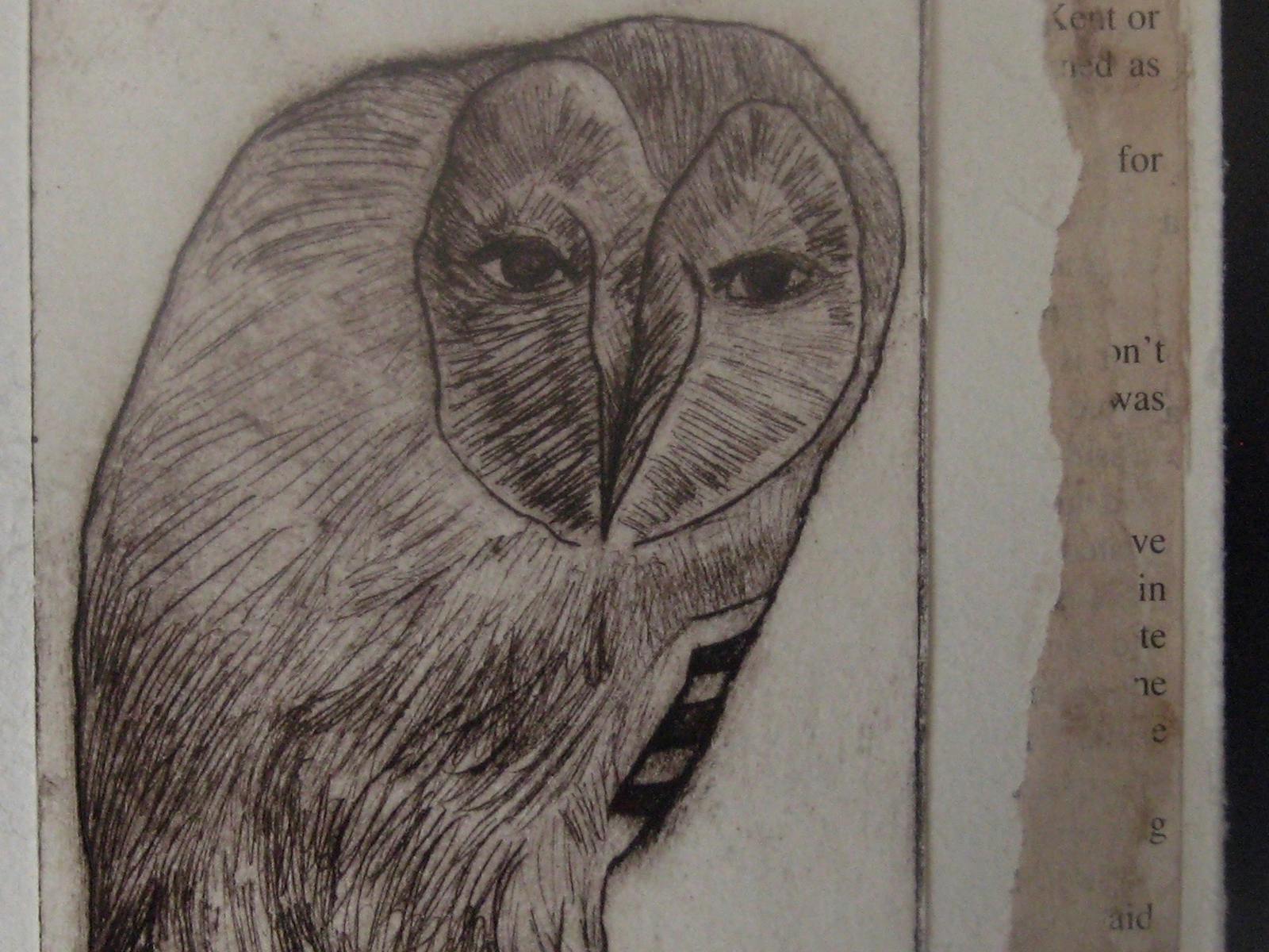 Image for Mapping Your Garden. An Introduction to Drypoint Etching
