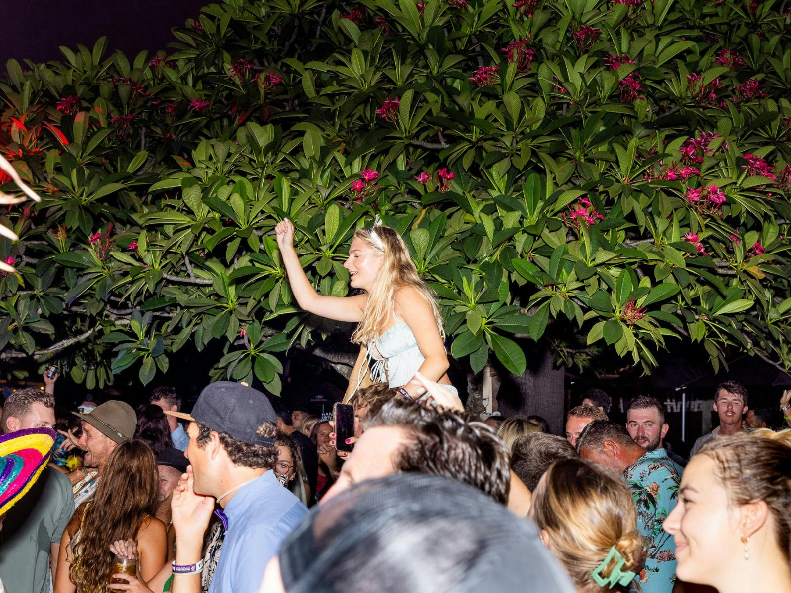 Northerlies NYE 2024