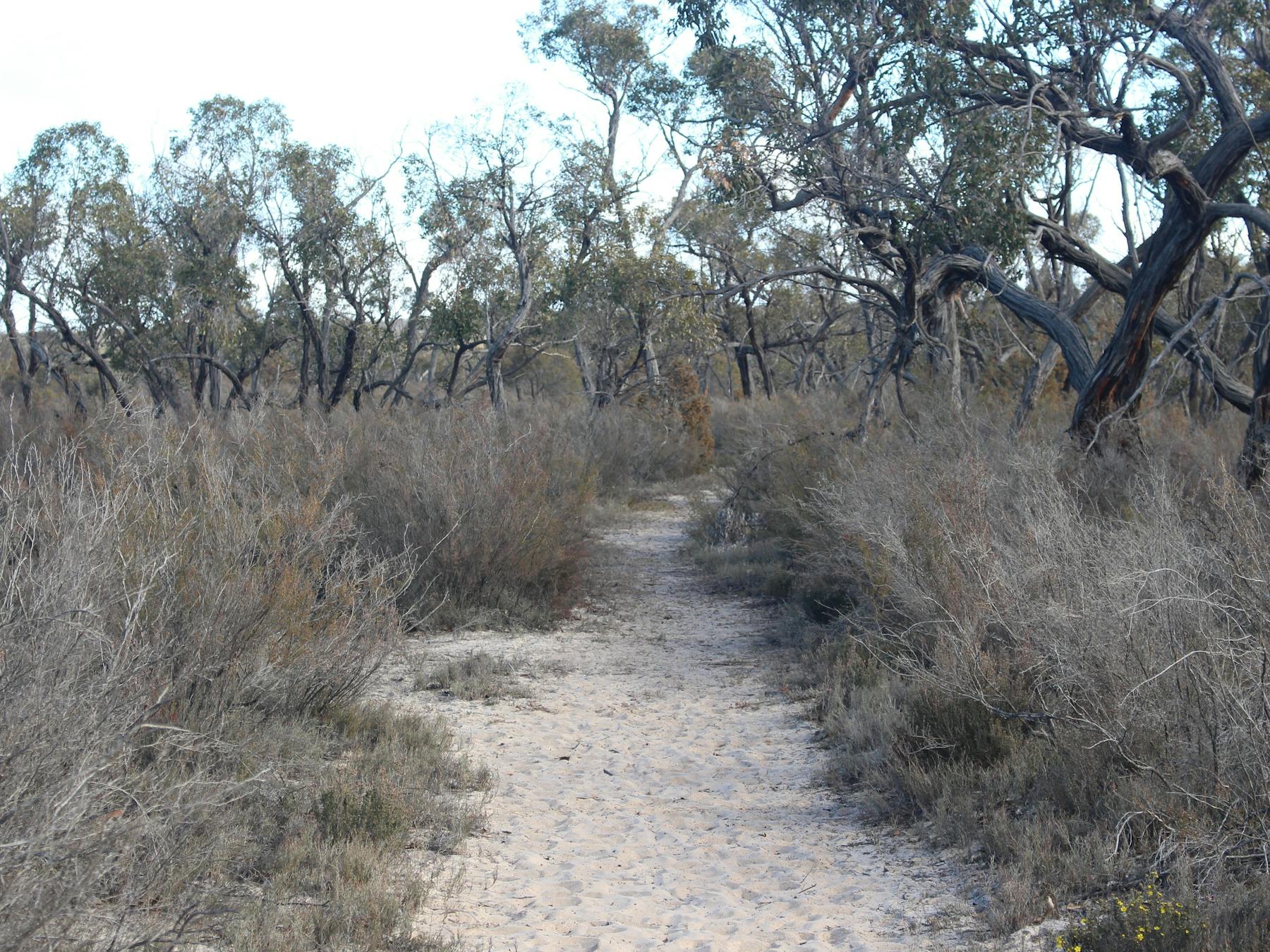 Little Desert National Park