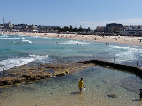 South Coast Wine Tasting, Waterfalls and Treetop Walk