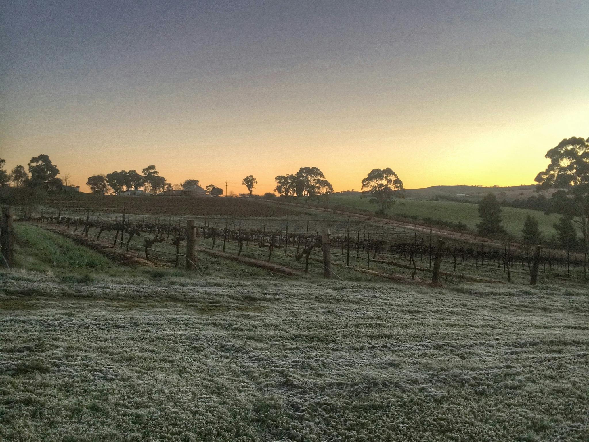 Clear mornings so crisp and clean