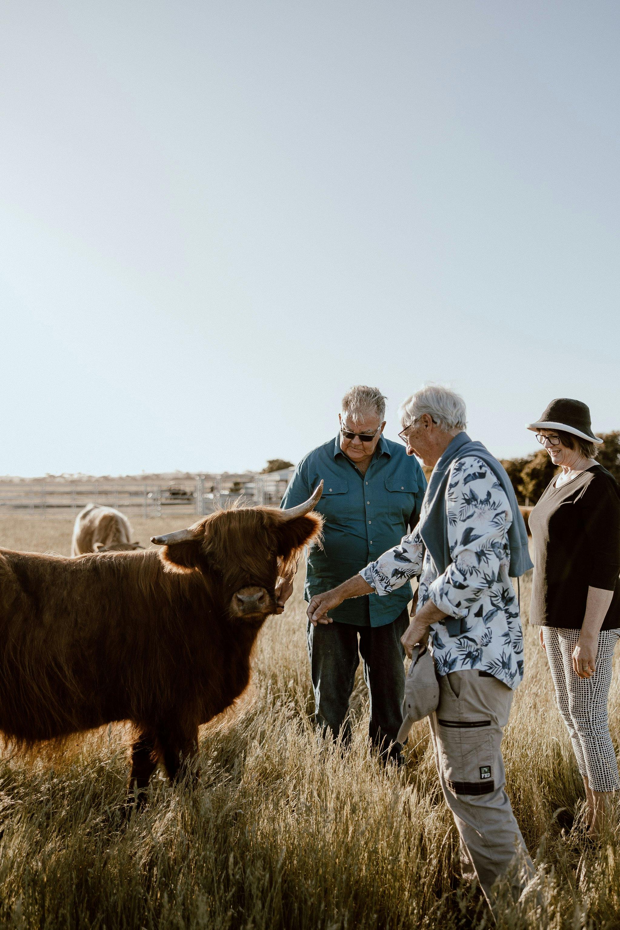 Guide with Bindi and visitor group