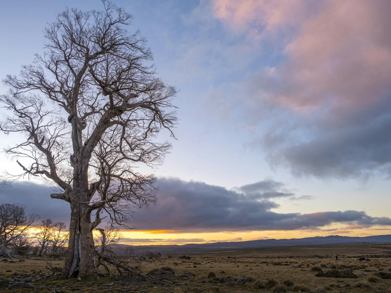 Tasmanian Photography Tours