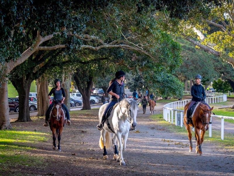 Scenic walking tour of Centennial Park