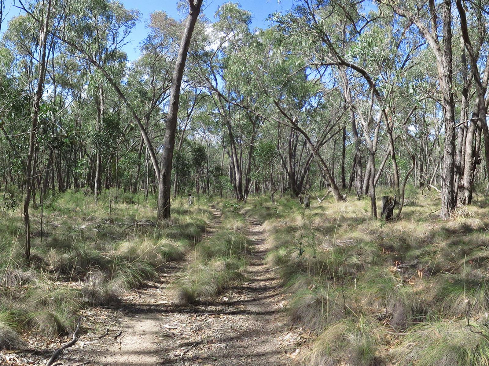 Reef Hills State Park