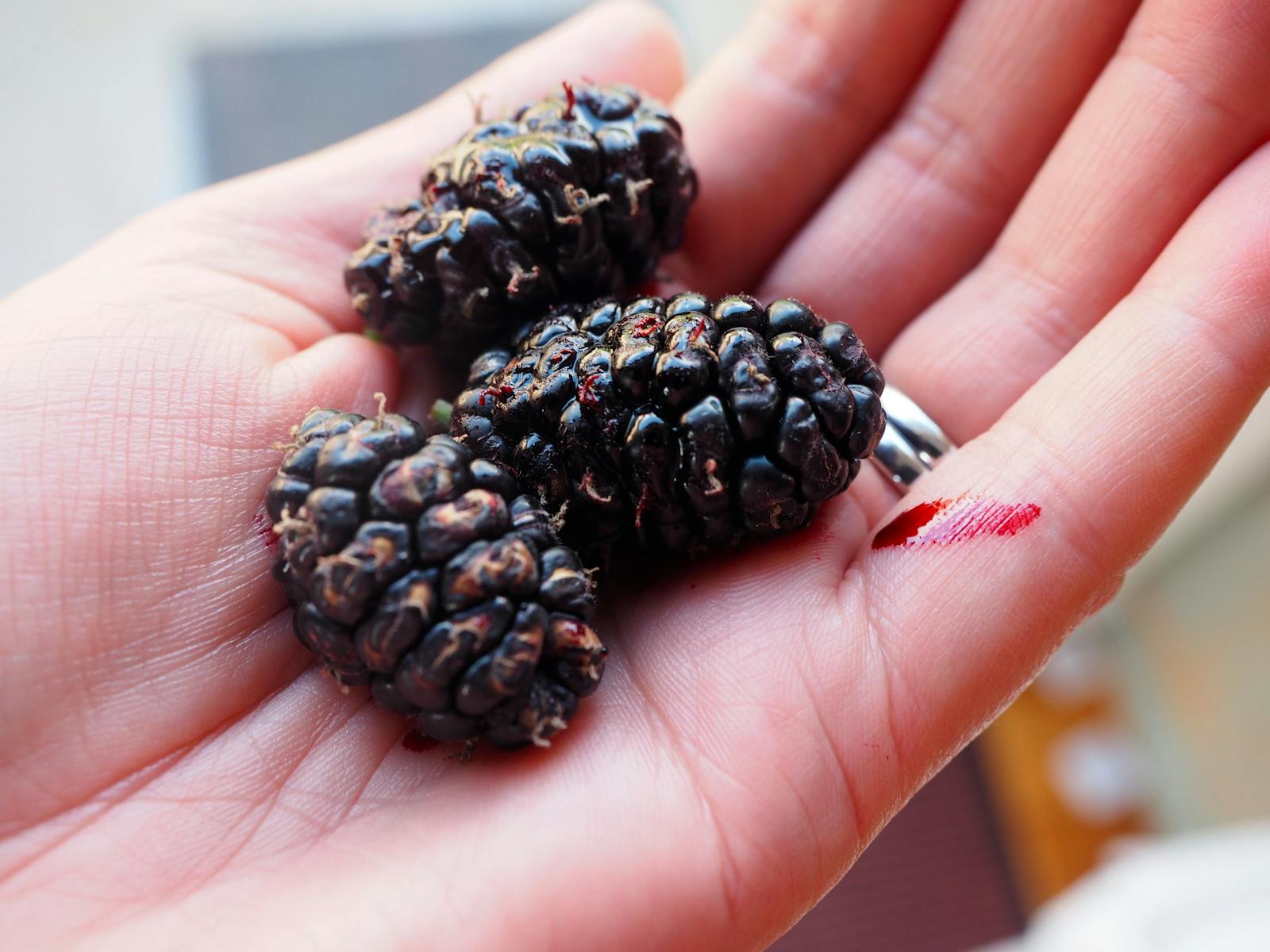 Mulberries