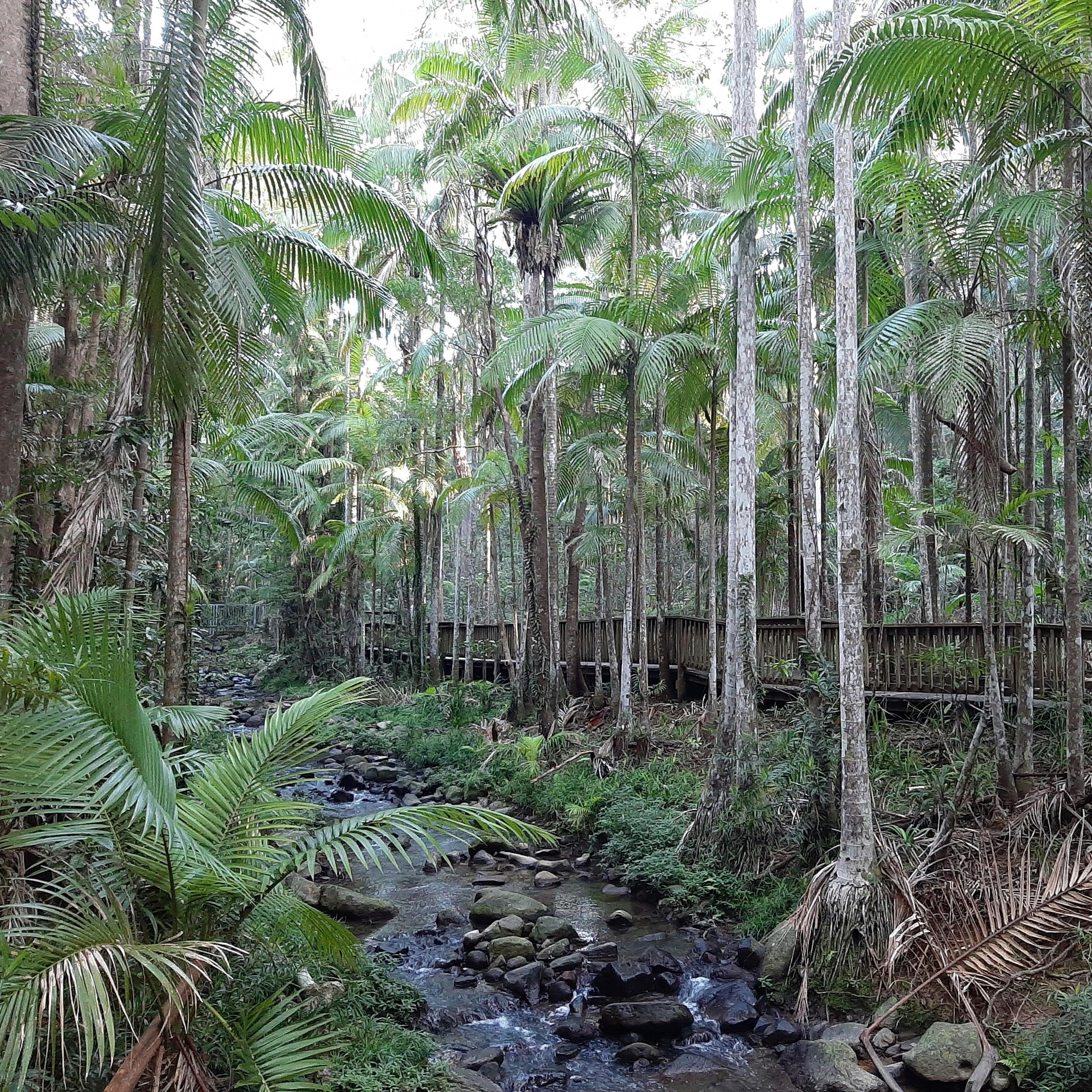 Buderim Forest Park