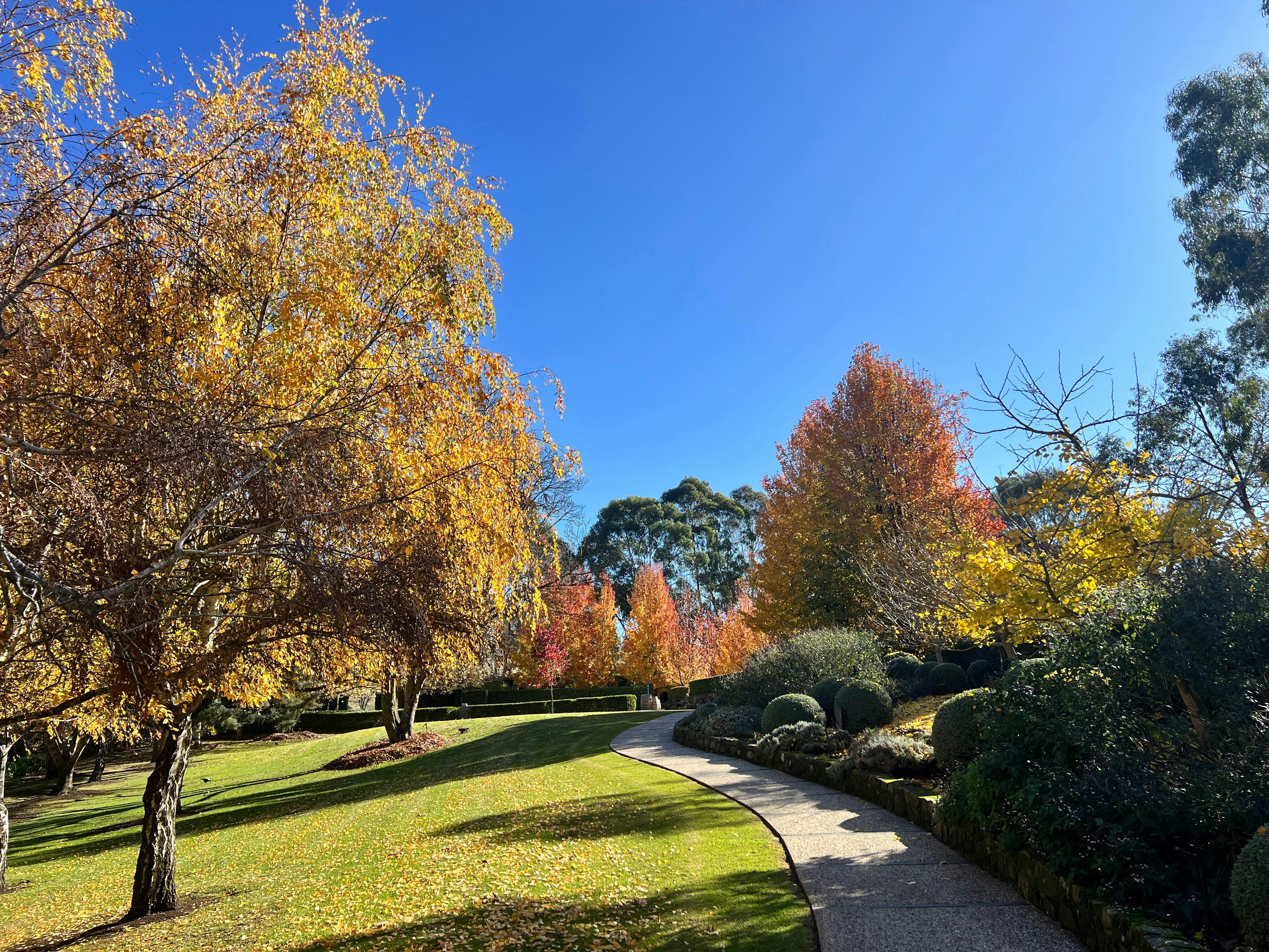 Hahndorf and Adelaide Hills Extravagance