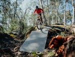 Biker on bridge