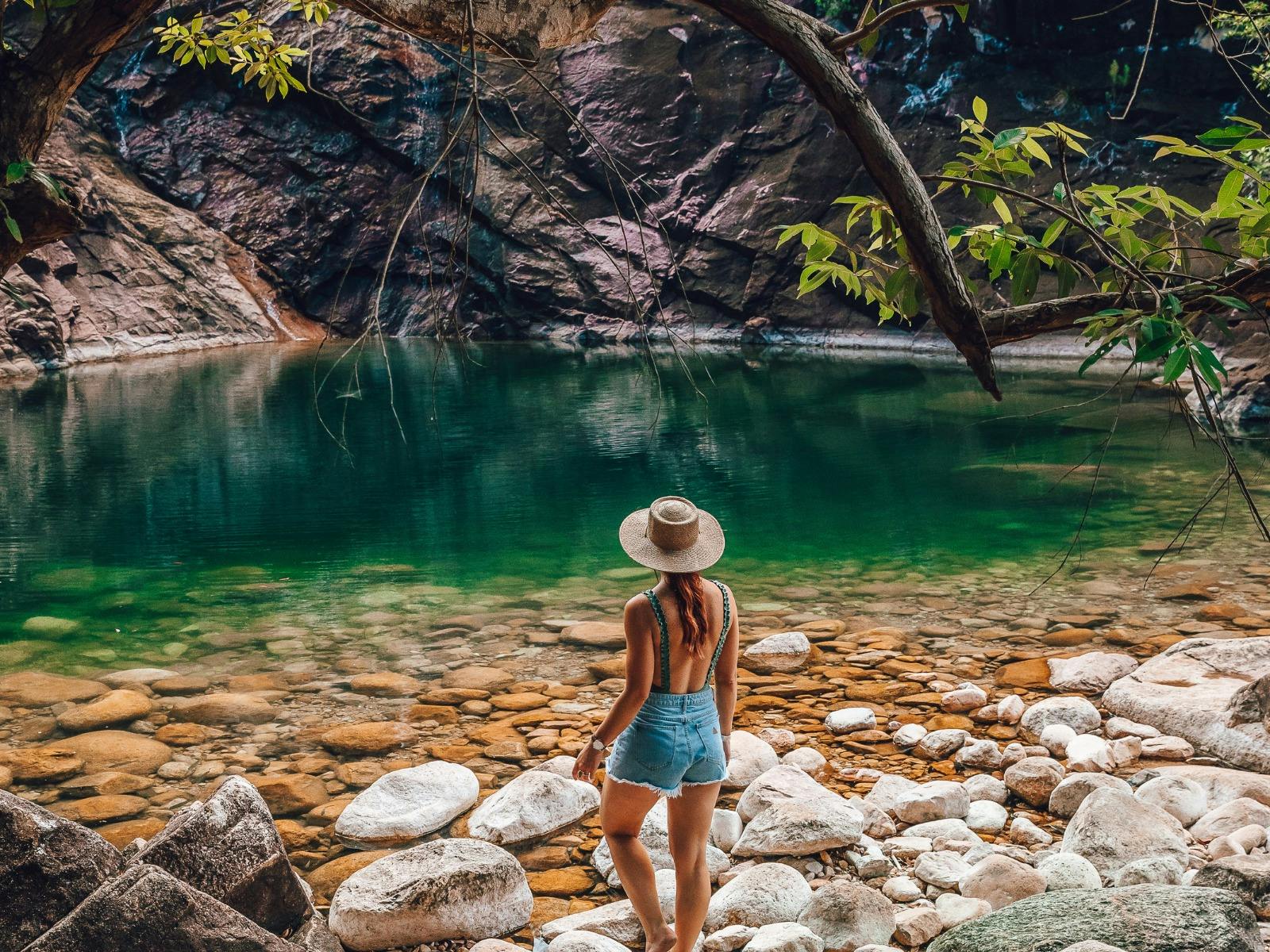 North Queensland Rainforest