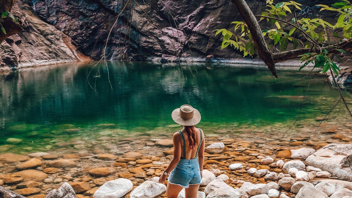 North Queensland Rainforest
