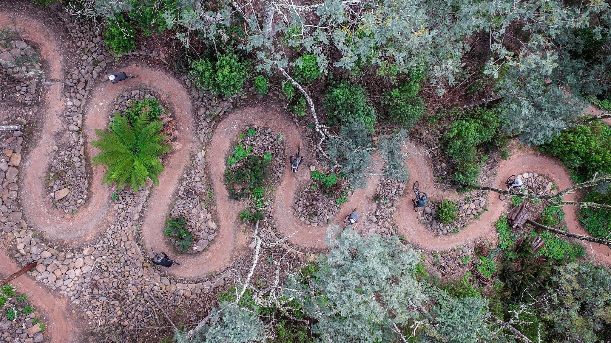 Switchbacks - Blue Derby