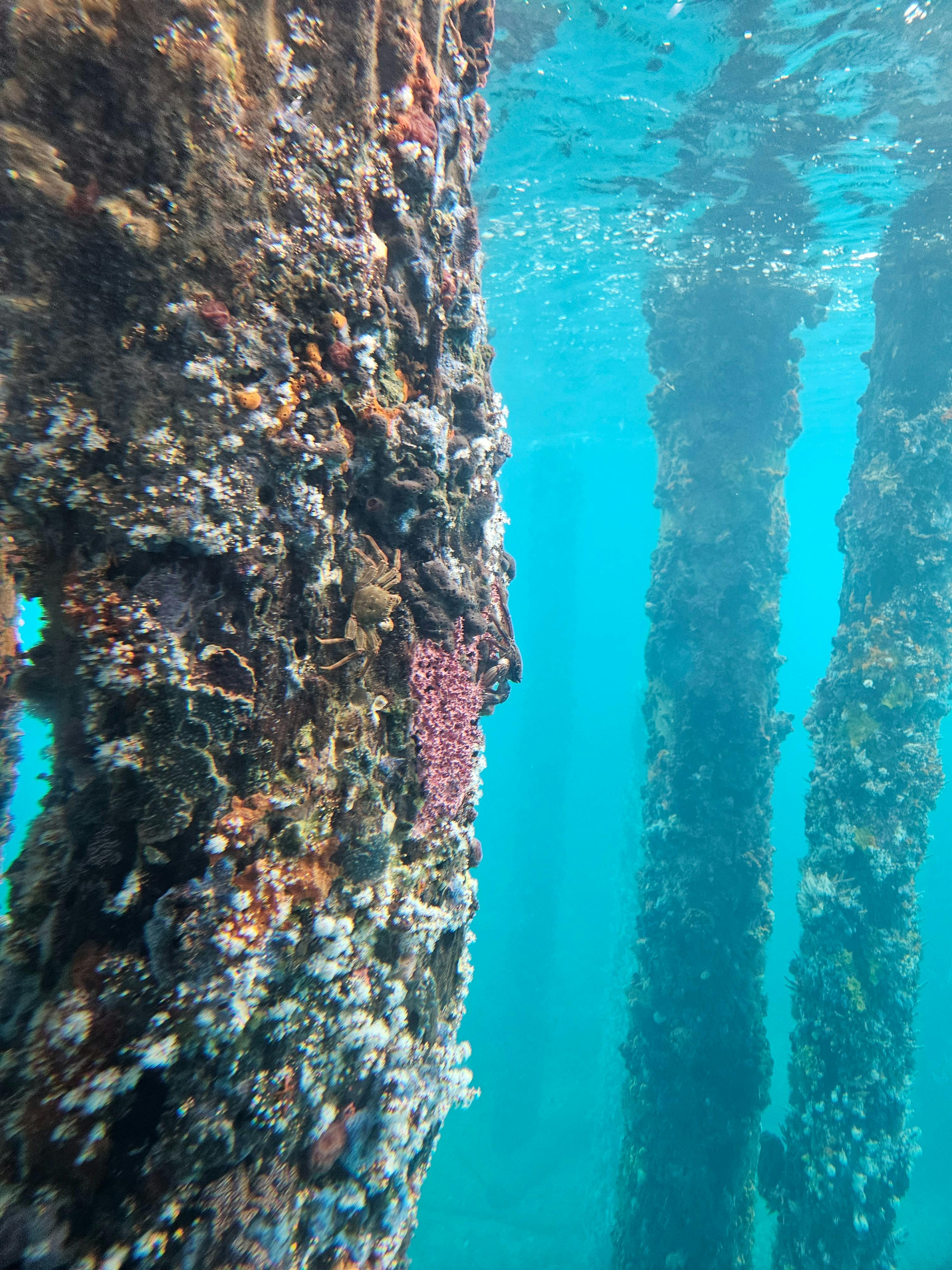 underwater observatory