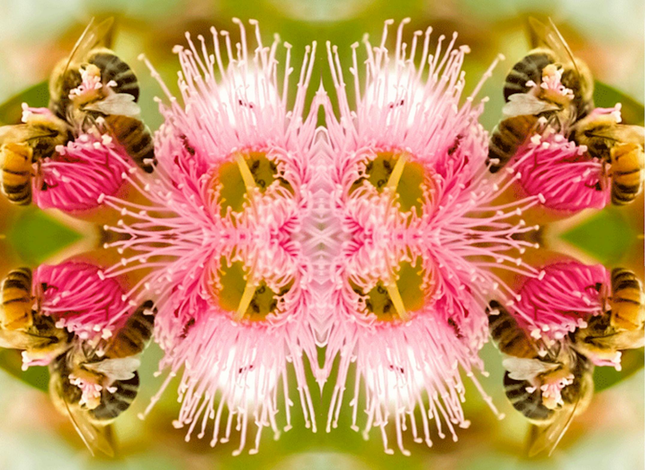 Symmetrical floral pattern