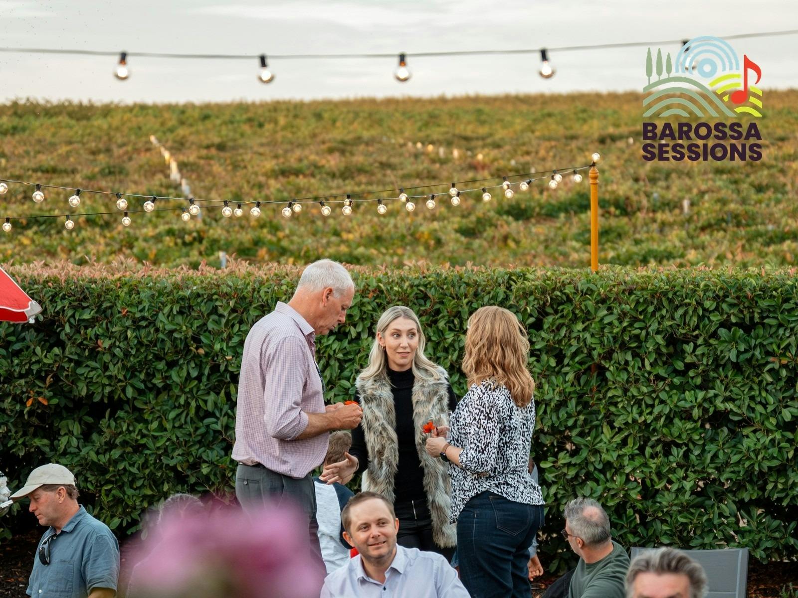 A group discussing overlooking the vineyards.