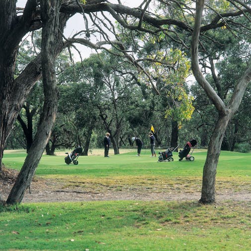 Penola Golf Course