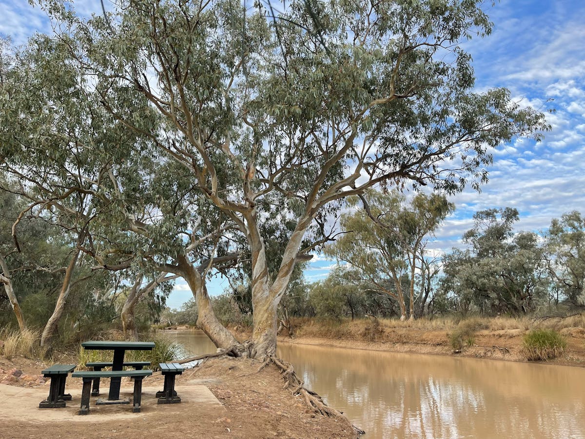 Pelican Point