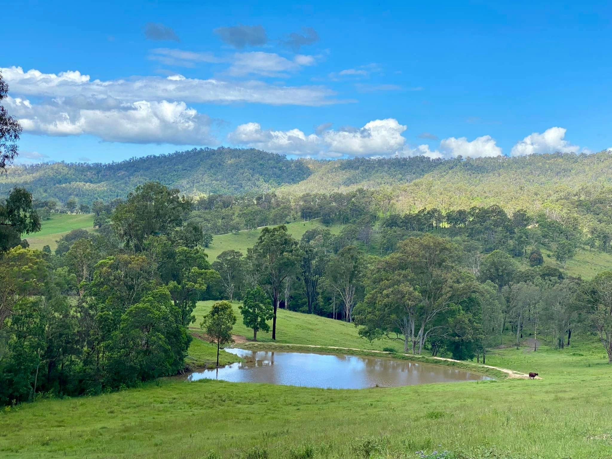 100 Campfires Campground