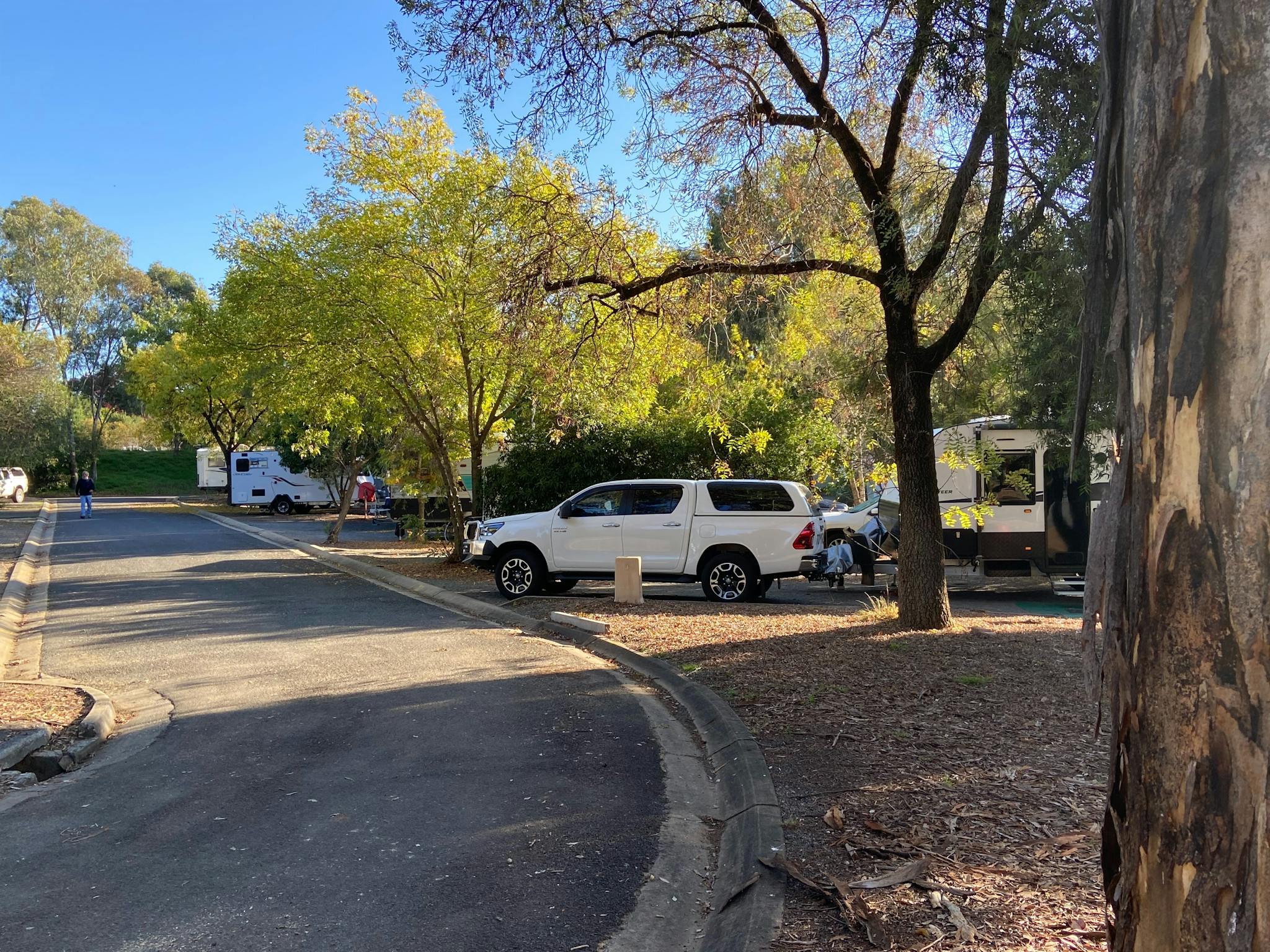 Drive through powered sites