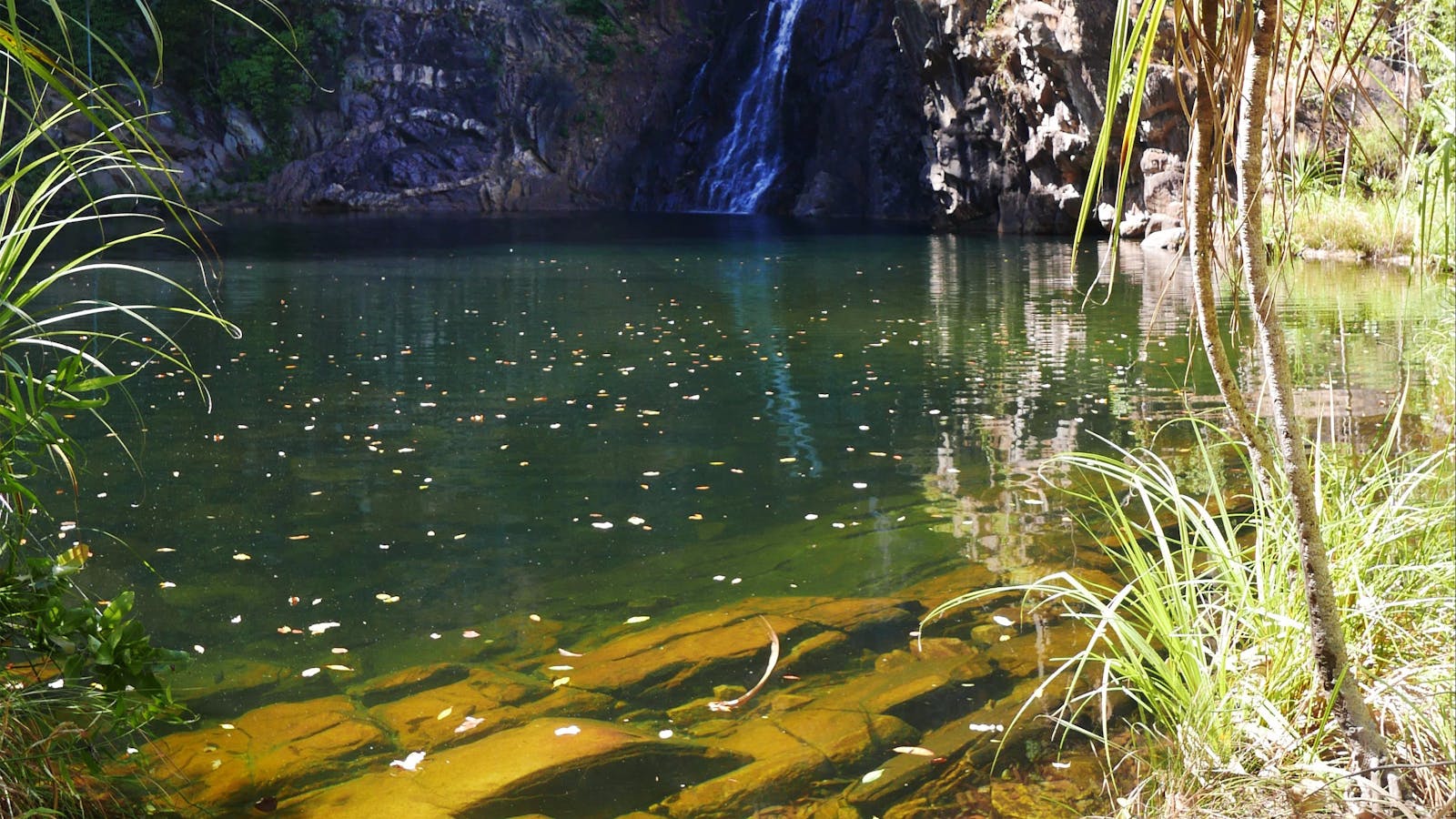 Tjaynera Falls (Sandy Creek)