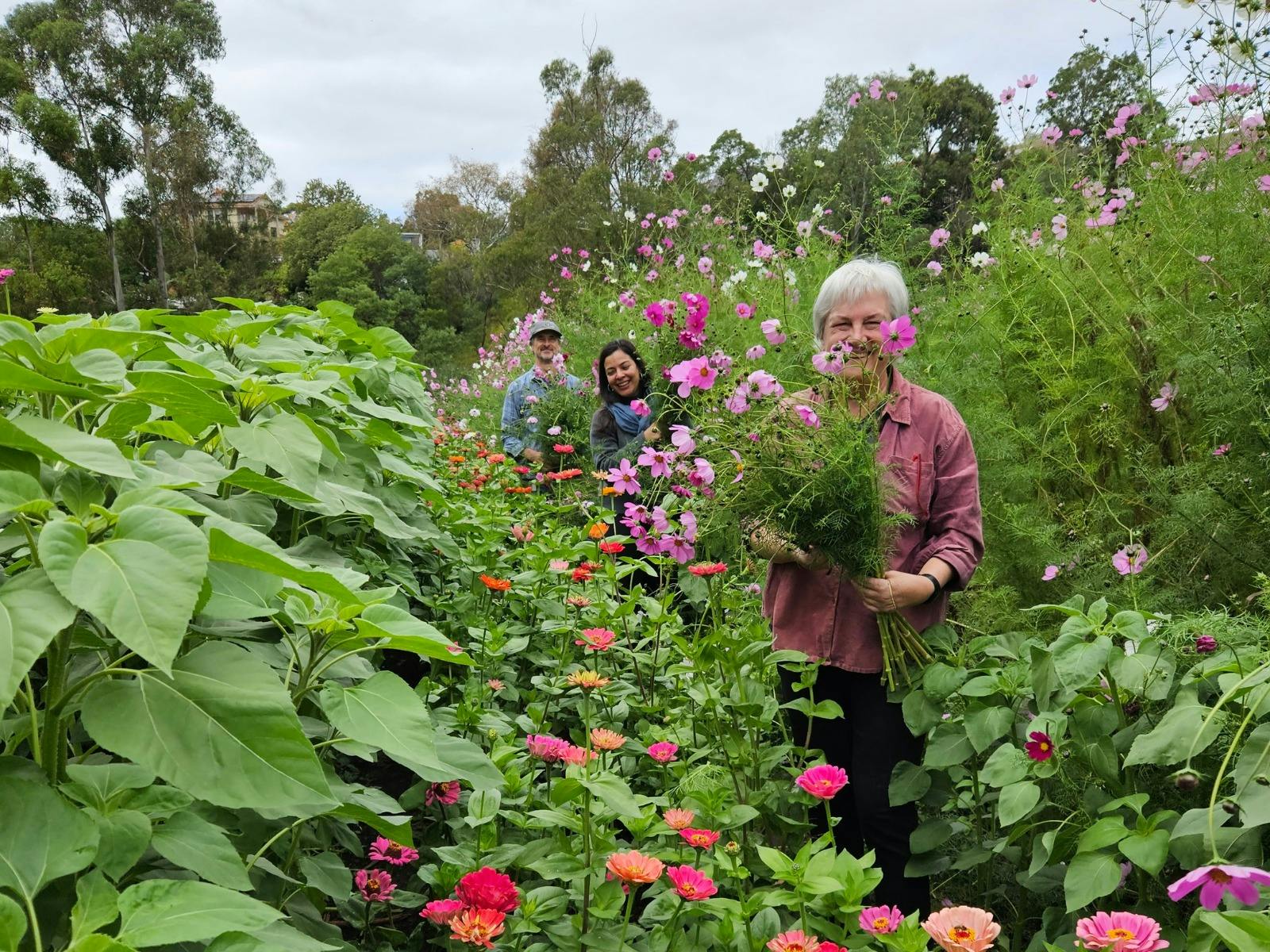 Three people pick flowers at Joe's Market Garden