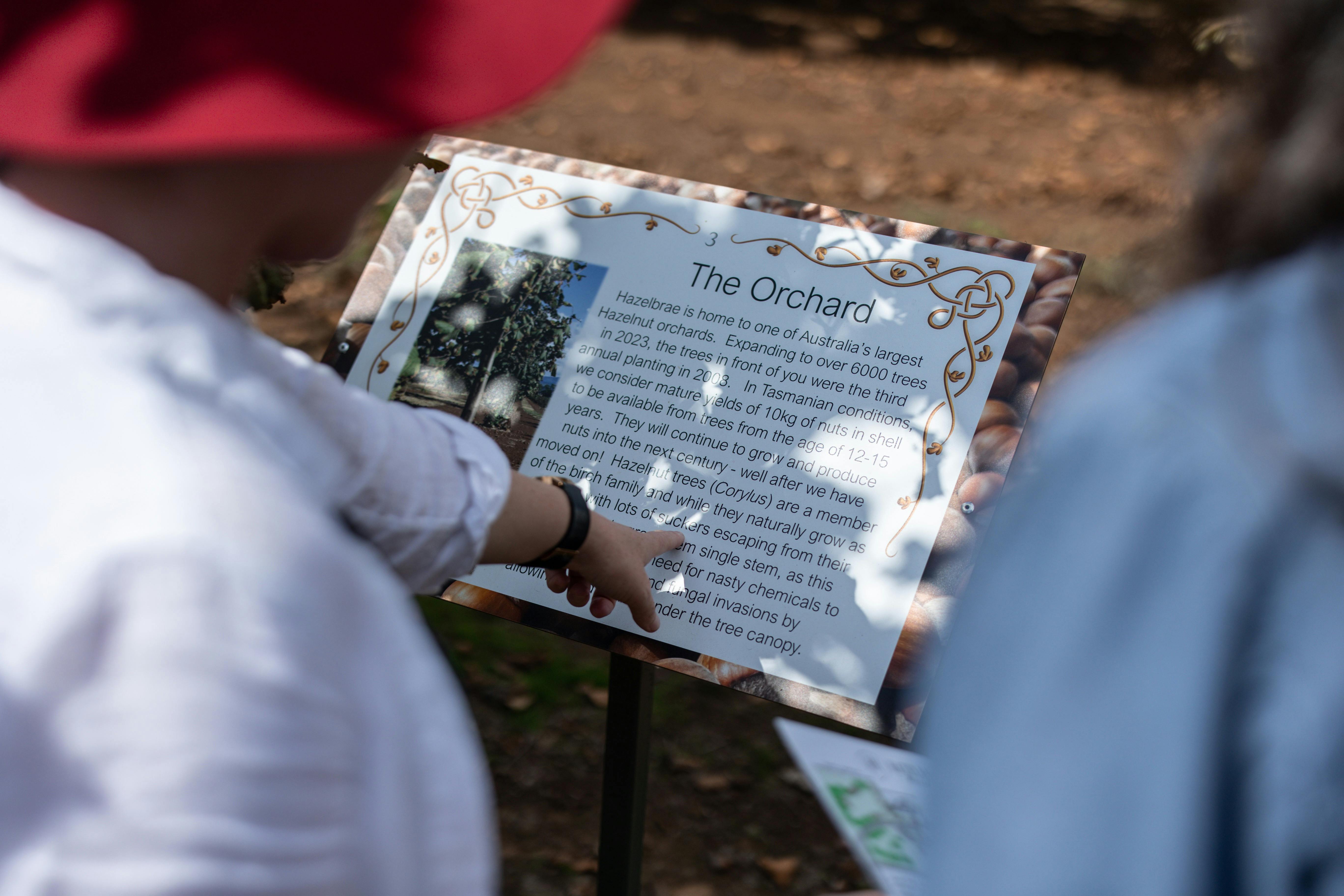 Self guided Tour at Hazelbrae