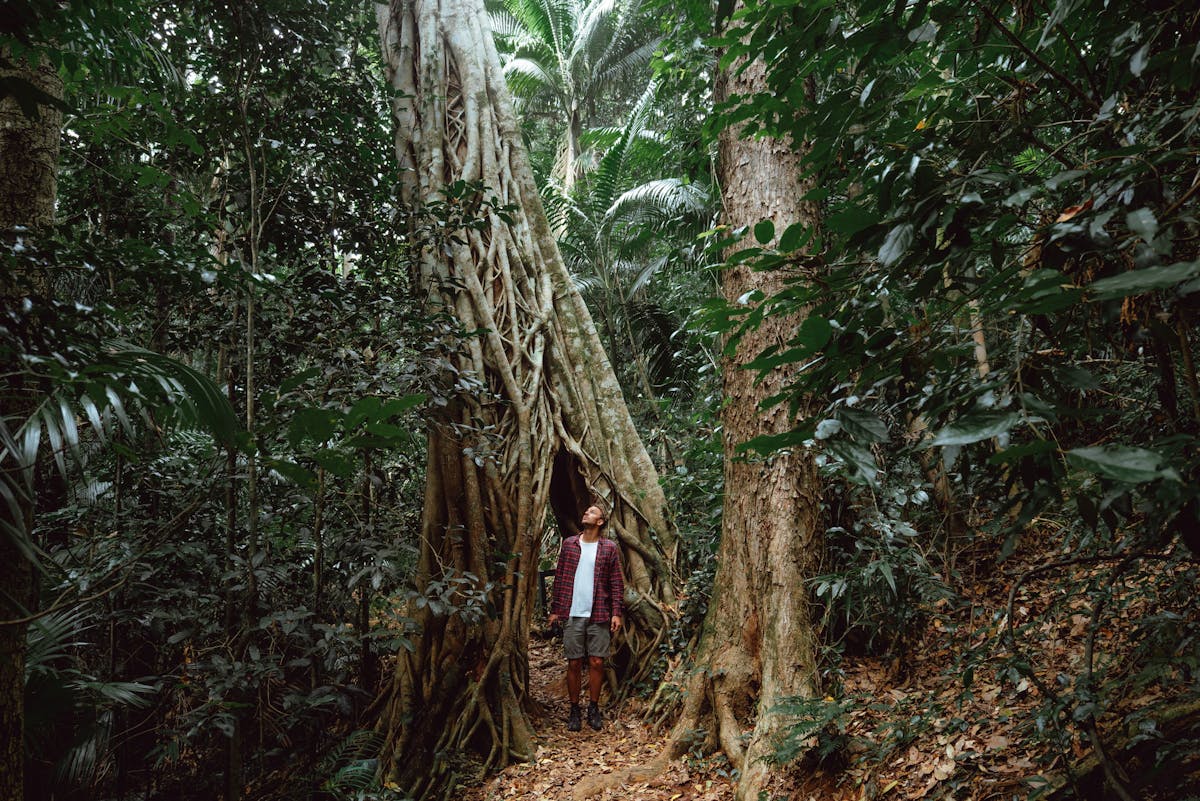 Eungella